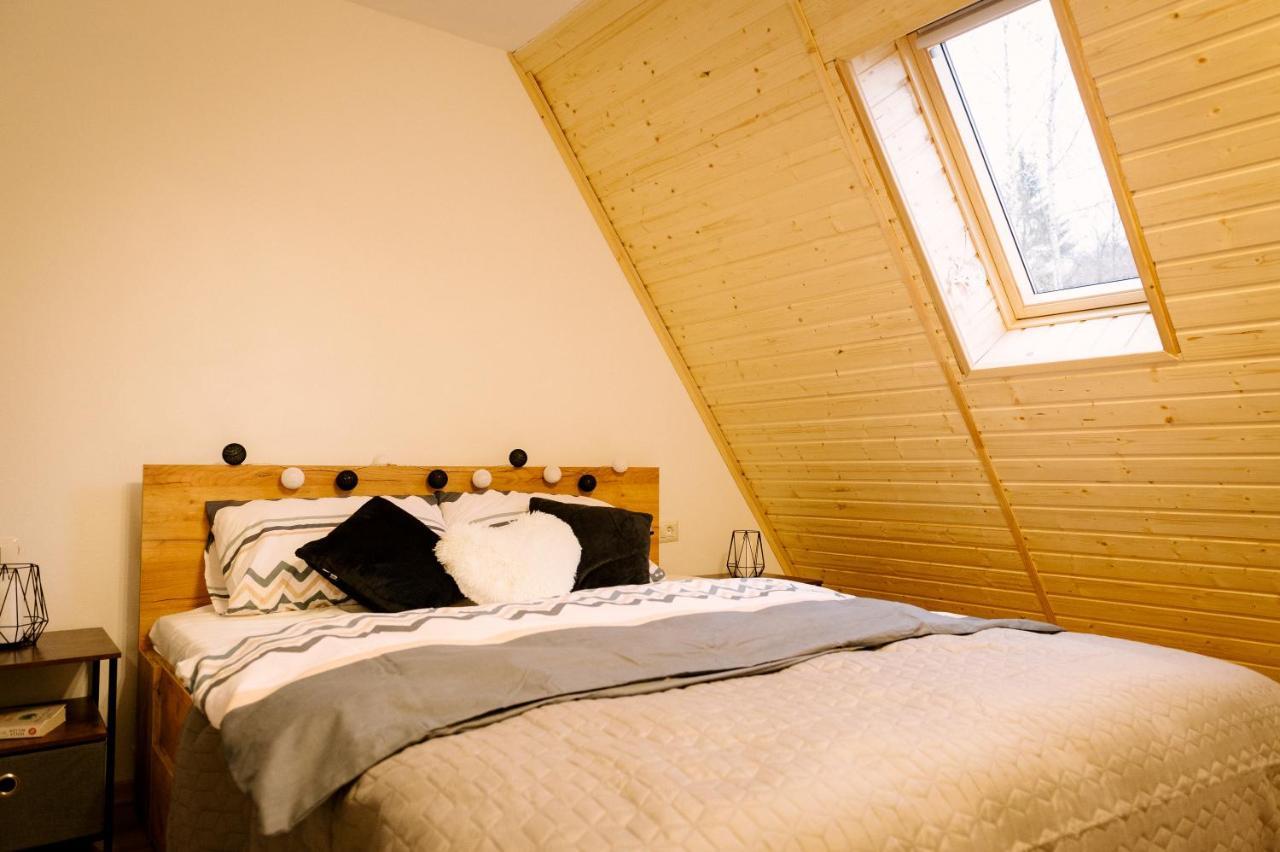 Zenith A-Frame Straja Villa Lupeni  Екстериор снимка