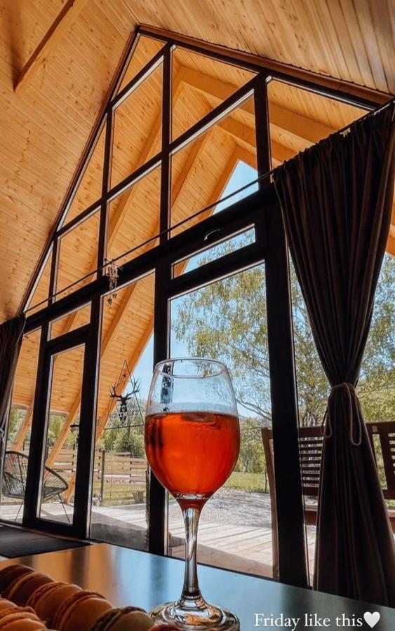 Zenith A-Frame Straja Villa Lupeni  Екстериор снимка