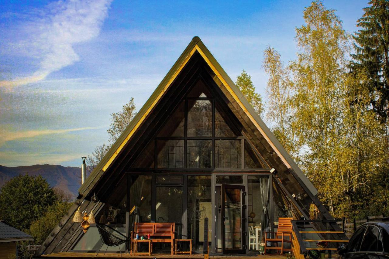 Zenith A-Frame Straja Villa Lupeni  Екстериор снимка