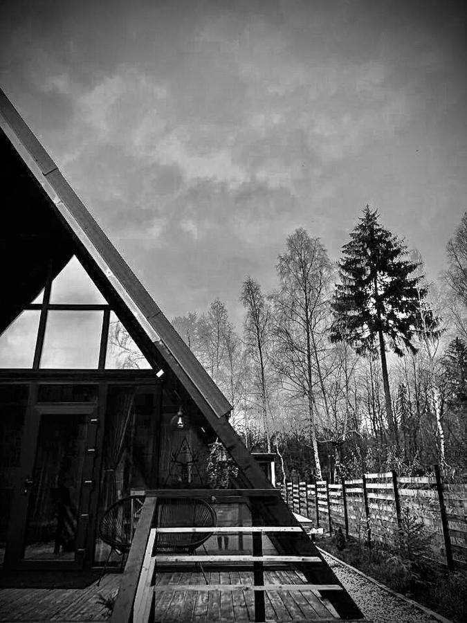 Zenith A-Frame Straja Villa Lupeni  Екстериор снимка